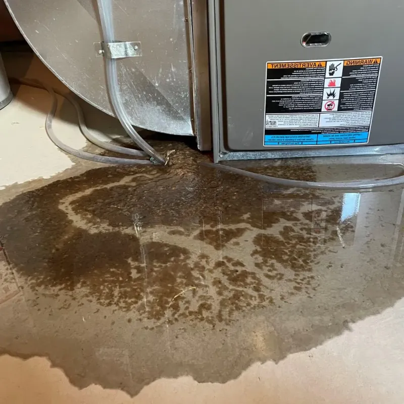 Pipe Burst and Leak Restoration in Hickam Field, HI